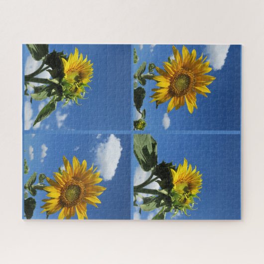 große Sonnenblume strahlt gelb blau Himmel weiß we Puzzle (Horizontal)