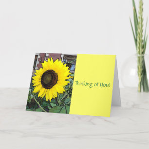 Grosse Sonnenlicht Sonnenblumenkarte Karte
