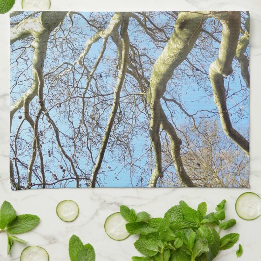 Große sonnige Baumzweige im Himmlischen blauen Him Handtuch (Gefaltet)