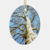 Große sonnige Baumzweige im Himmlischen blauen Him Keramikornament (Rechts)