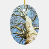 Große sonnige Baumzweige im Himmlischen blauen Him Keramikornament (Vorne)