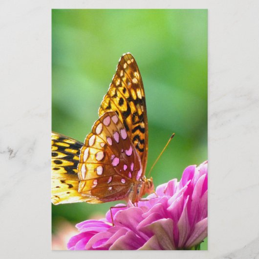 Große Spangled Fritillary Briefpapier (Vorderseite)