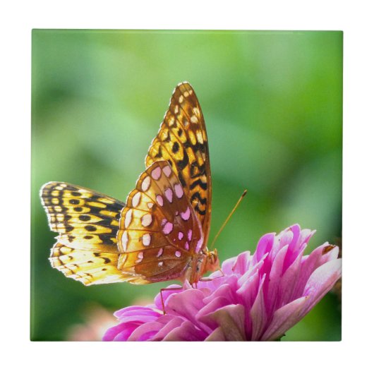 Große Spangled Fritillary Fliese (Vorderseite)