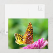 Große Spangled Fritillary Postkarte (Vorne/Hinten)