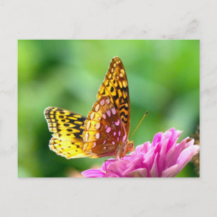 Große Spangled Fritillary Postkarte