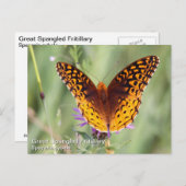 Große Spangled Fritillary Postkarte (Vorne/Hinten)
