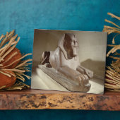 Große Sphinx aus Tanis (Granit) Fotoplatte (Seite)