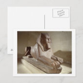 Große Sphinx aus Tanis (Granit) Postkarte (Vorne/Hinten)