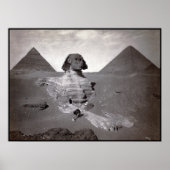 Große Sphinx von Gizeh Necropolis und Pyramiden Poster (Vorne)