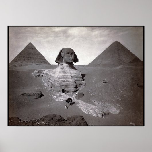Große Sphinx von Gizeh Necropolis und Pyramiden Poster (Vorne)
