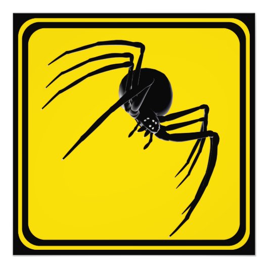 Große Spinne überquert! Fotodruck (Vorne)