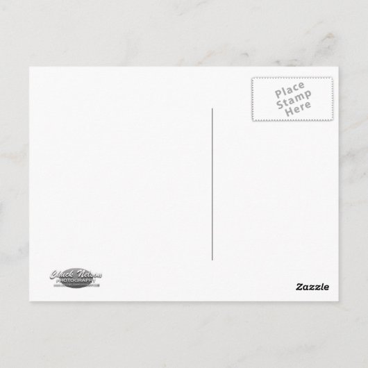 GROSSE SPRINGS POSTKARTE (Rückseite)