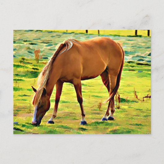 GROSSE SPRINGS POSTKARTE (Vorderseite)