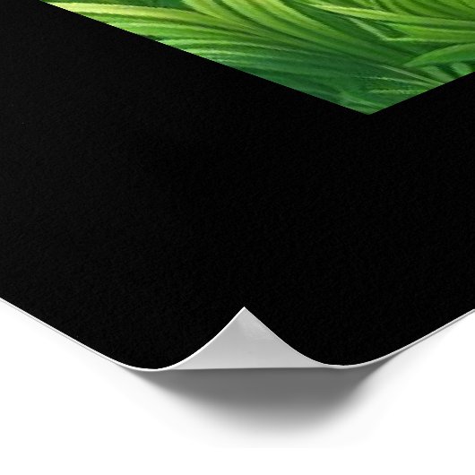 große stehende Giraffe Poster (Ecke)