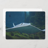 Große Sterne Einladung (Vorne/Hinten)