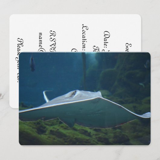 Große Sterne Einladung (Vorne/Hinten)