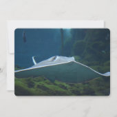 Große Sterne Einladung (Vorderseite)