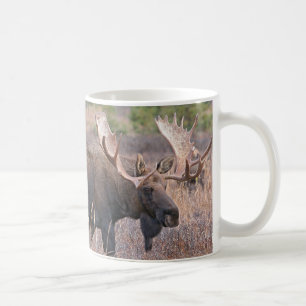 Große Stier-Elche Kaffeetasse