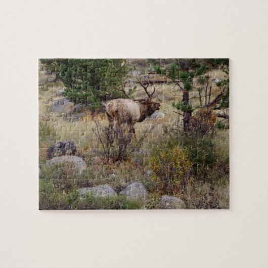 Große Stier-Elche - Puzzlespiel Puzzle (Horizontal)