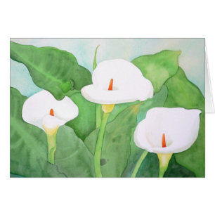 Große Sur CalaLillies Karte