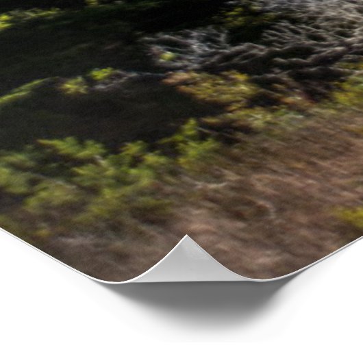 Große Sur Küste, Westküste, Pazifikküste Poster (Ecke)