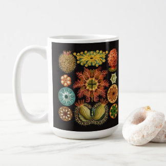 Große Tasse Haeckel Stachelhäuters