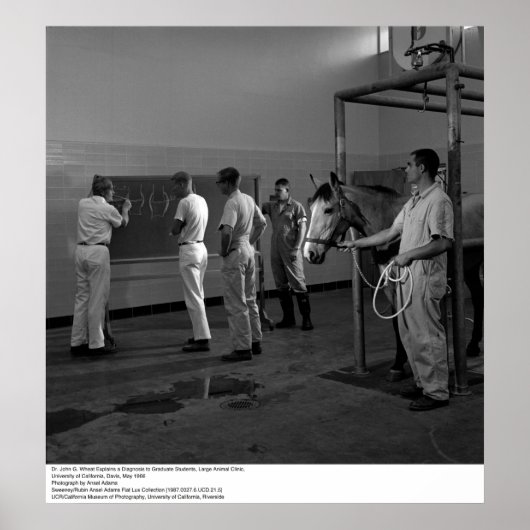 Große Tierklinik, UC Davis, 1966 Poster (Vorne)