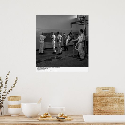 Große Tierklinik, UC Davis, 1966 Poster (Küche)