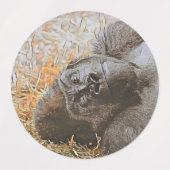 Große Tiermischung Etiketten (Design 1)