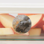 Große Tiermischung Etiketten (Befestigt)