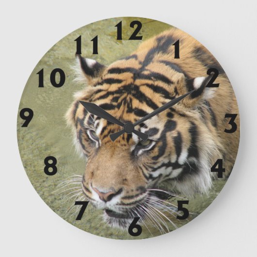 Große Tiger-Uhr Wanduhr (Vorderseite)