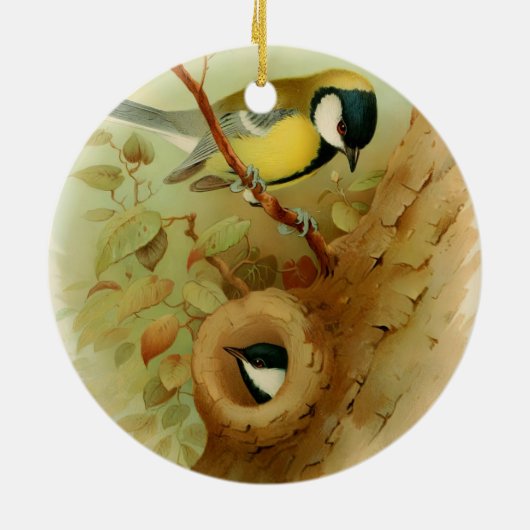 Große Titte - farbenfroher Vogel, Kunst Keramik Ornament (Hinten)