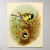 Große Titte - farbenfroher Vogel, Kunst Poster (Vorne)