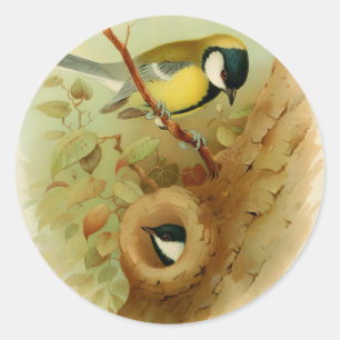 Große Titte - farbenfroher Vogel, Kunst Runder Aufkleber