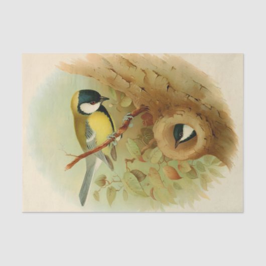 Große Titte - farbenfroher Vogel, Kunst Seidenpapier (Vorderseite)