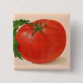 große Tomate Button (Vorderseite)