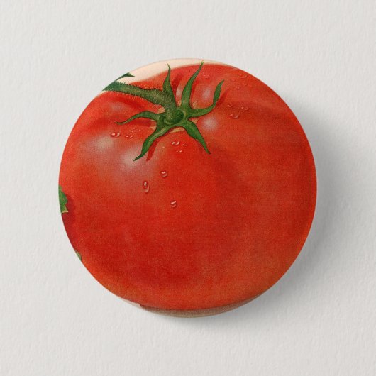 große Tomate Button (Vorderseite)