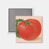 große Tomate Magnet (Vorderseite/Rückseite)