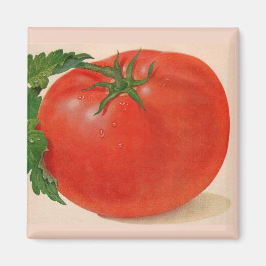 große Tomate Magnet (Vorne)