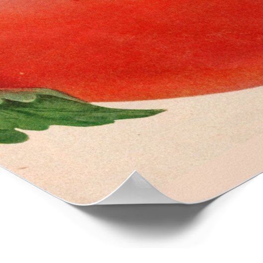 große Tomate Poster (Ecke)