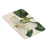 Große Trillium Magnet (Rechte Seite)