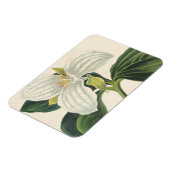 Große Trillium Magnet (Linke Seite)