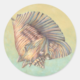 Große Tritonshorn-PastellMuschel Runder Aufkleber