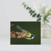 Große Tüte im Herbst Postkarte (Stehend Vorderseite)