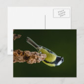 Große Tüte im Herbst Postkarte (Vorne/Hinten)