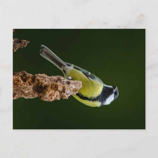 Große Tüte im Herbst Postkarte (Vorderseite)