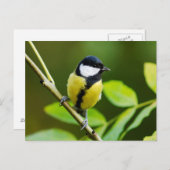 Große Tüte im Herbst Postkarte (Vorne/Hinten)