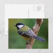 Große Tüte im Herbst Postkarte (Vorne/Hinten)