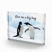 Große Umarmung Pinguin auf Eis-Foto mit Text Fotoblock (Rechts)