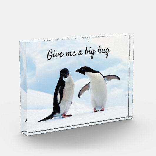 Große Umarmung Pinguin auf Eis-Foto mit Text Fotoblock (Links)